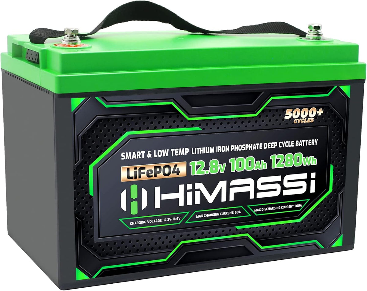 12V 100Ah LiFePO4 Battery with 100A BMS H57239