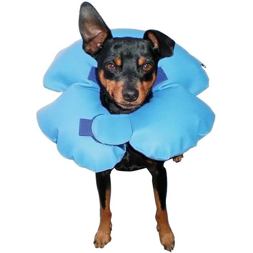 Inflatable Recovery Dog Collar P42925