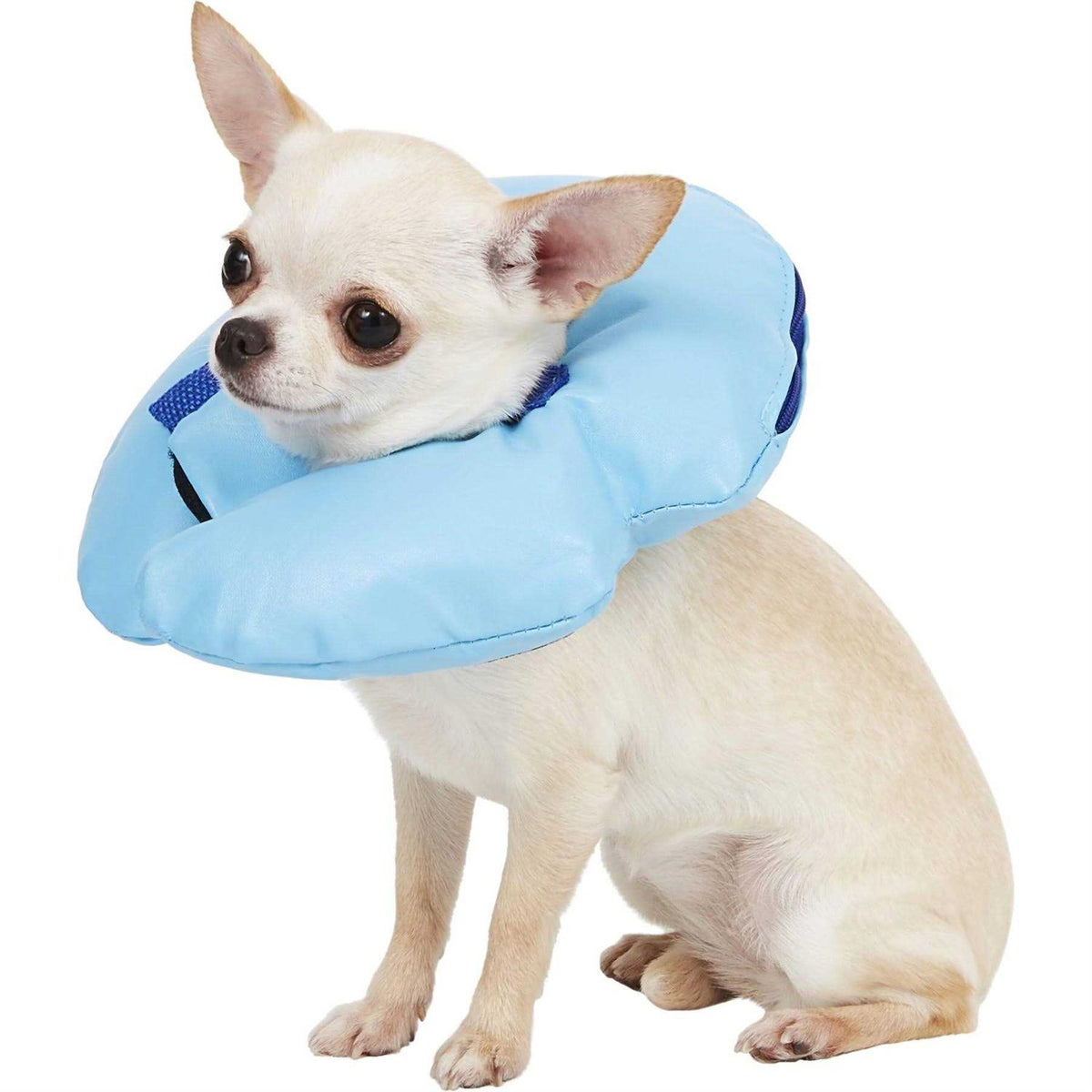 Inflatable Recovery Dog Collar P42925