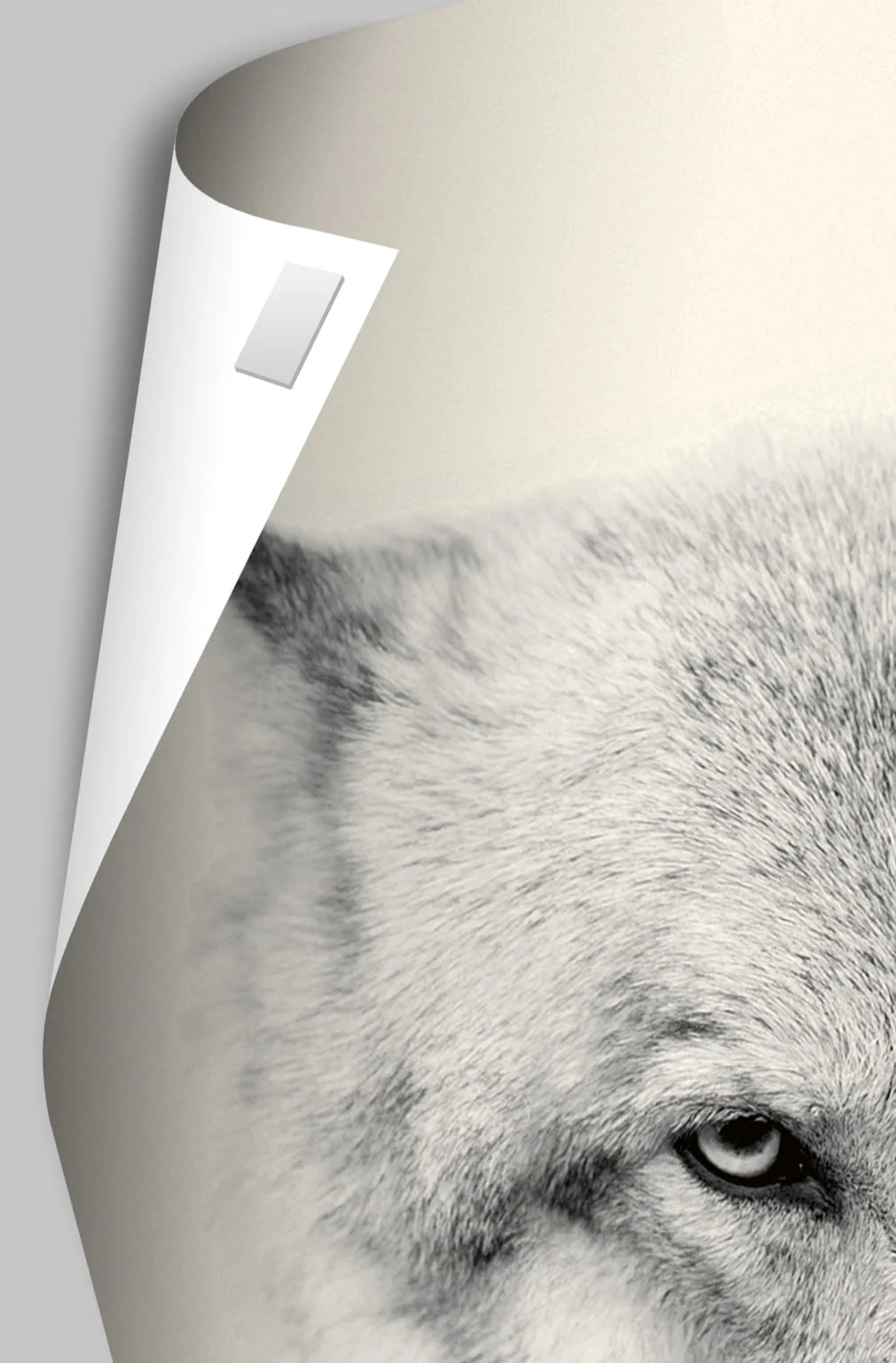 Wall Poster 22.375 x 34 U204374