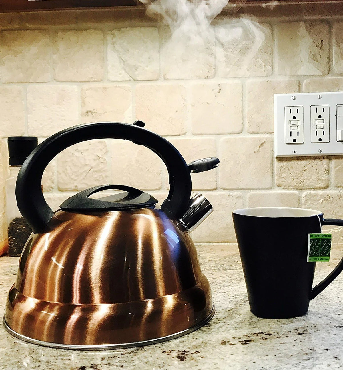 3 Quart Stainless Steel Whistling Tea Kettle G233453