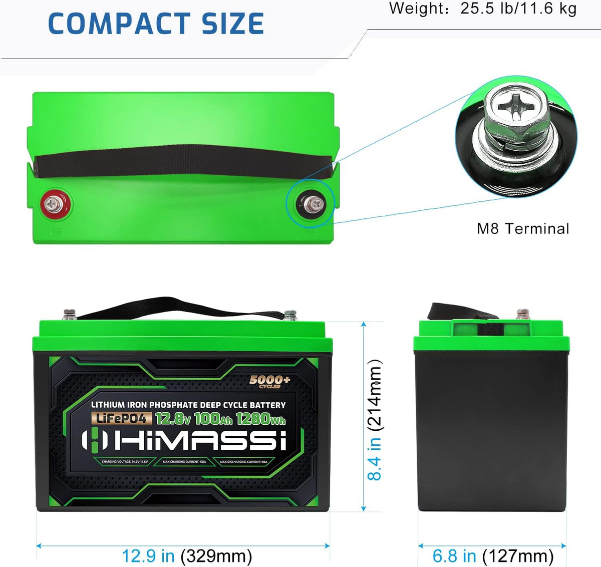 12V 100Ah LiFePO4 Battery with 100A BMS H57239