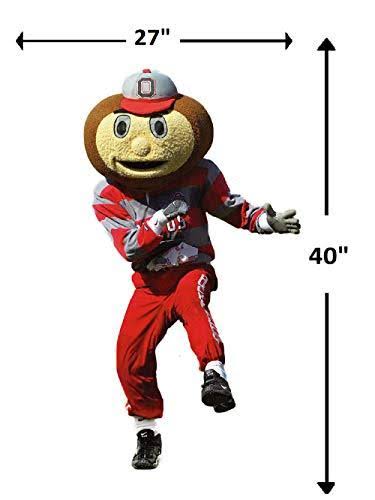 Ohio State Buckeyes Mascot U4244