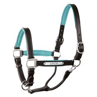 Padded Leather Halter with Nameplate F1955