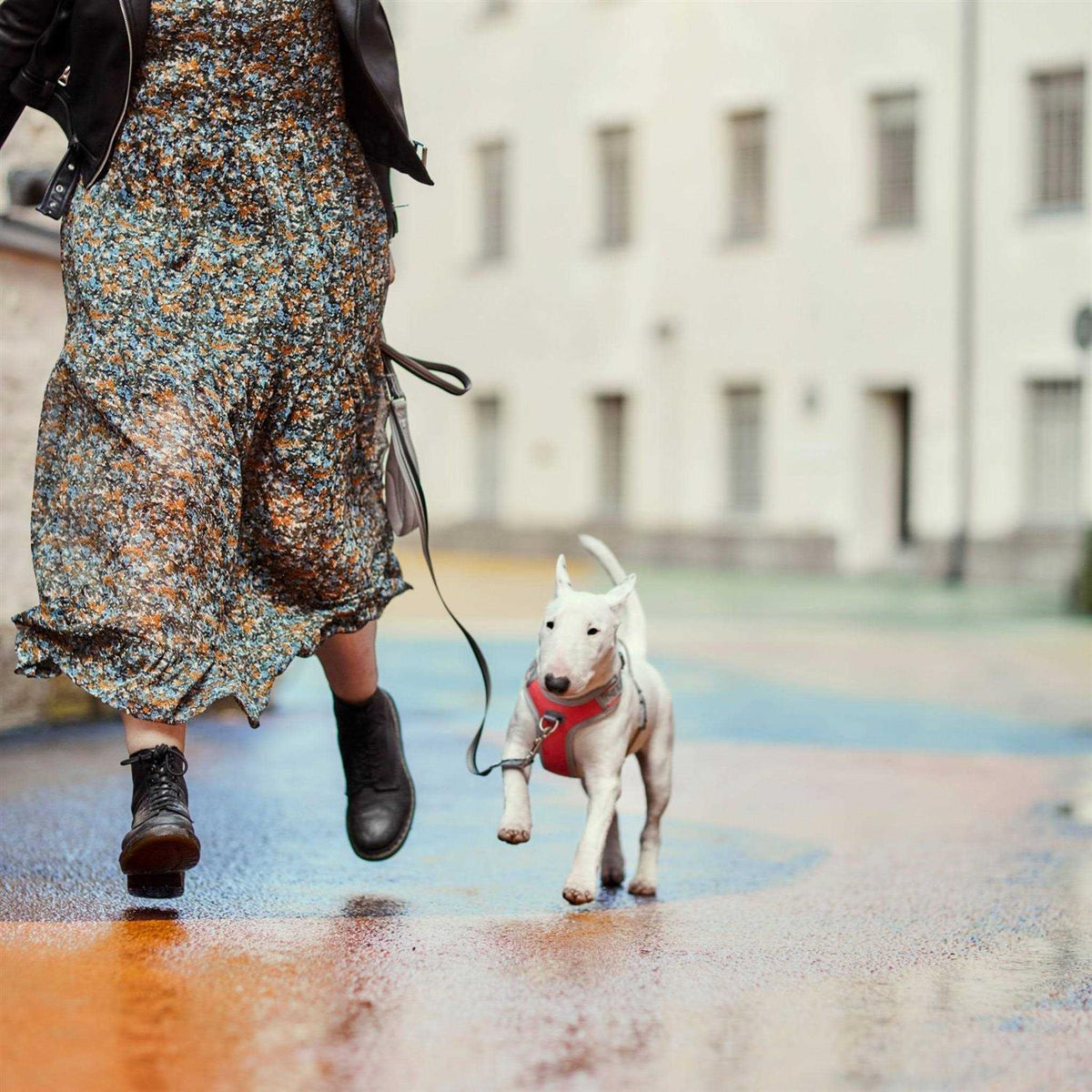No-Pull Dog Harness X801