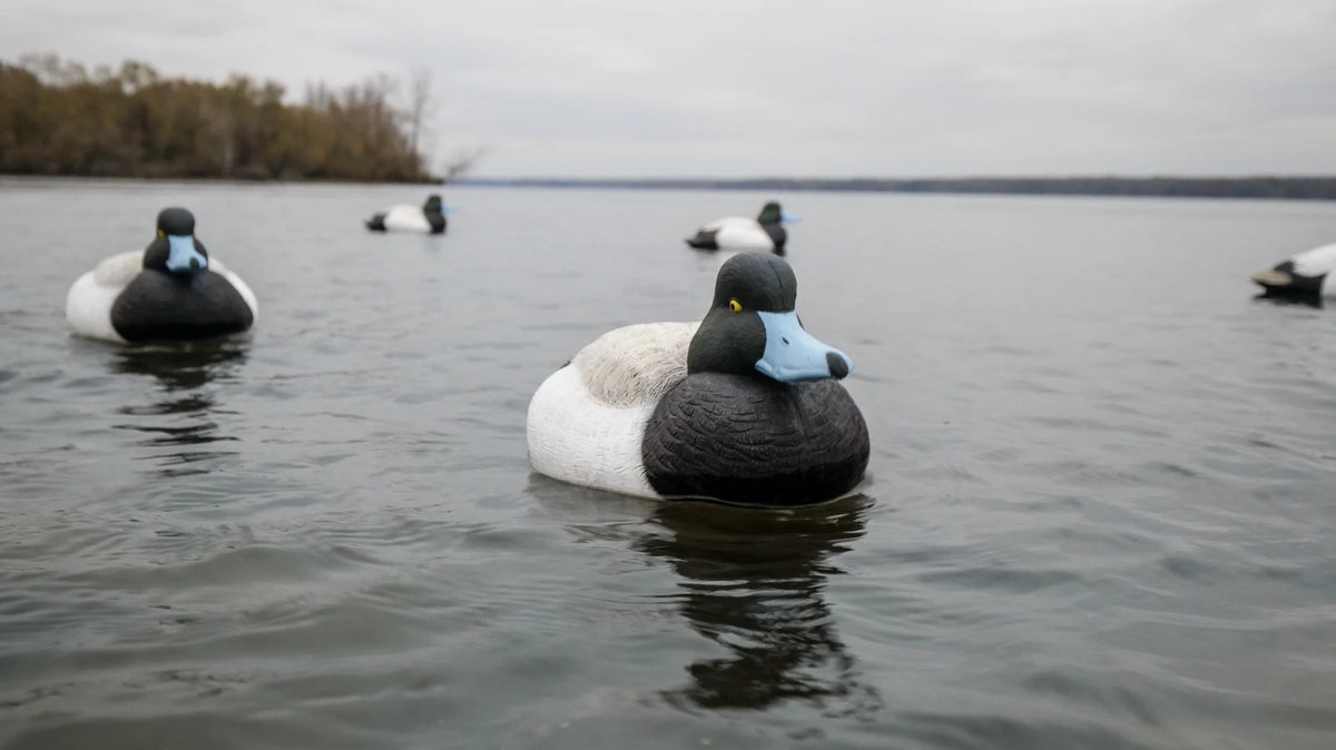 14 inch Foam Duck Decoy, 6 Pack P1136