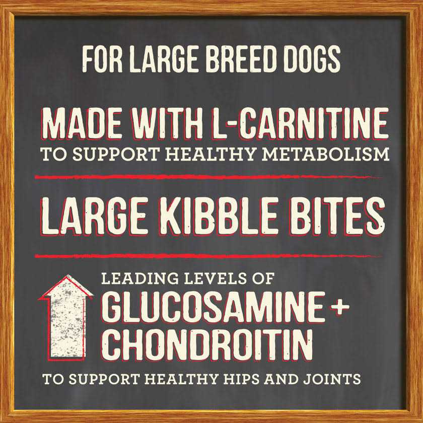 Healthy Grains Dry Dog Food Large Breed Recipe W7282